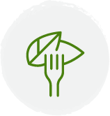 Vegetarian