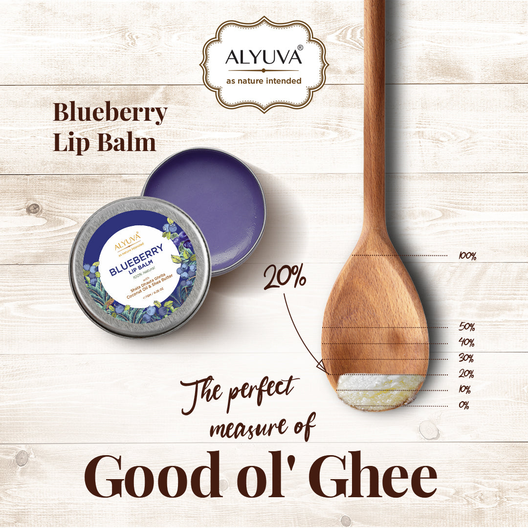 Blueberry Lip Balm, Natural & Herbal Ingredients, Ghee based, Unisex for all ages, 7gm, Pack of 2