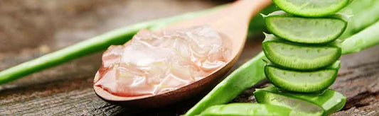 Is Aloe Vera-Based Cream Good For Oily Skin?