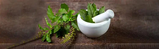 Buy herbs online