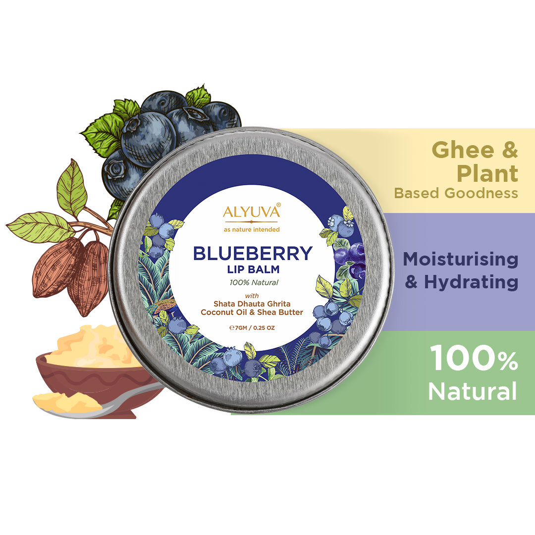 Blueberry Lip Balm, Natural & Herbal Ingredients, Ghee based, Unisex for all ages, 7gm, Pack of 2